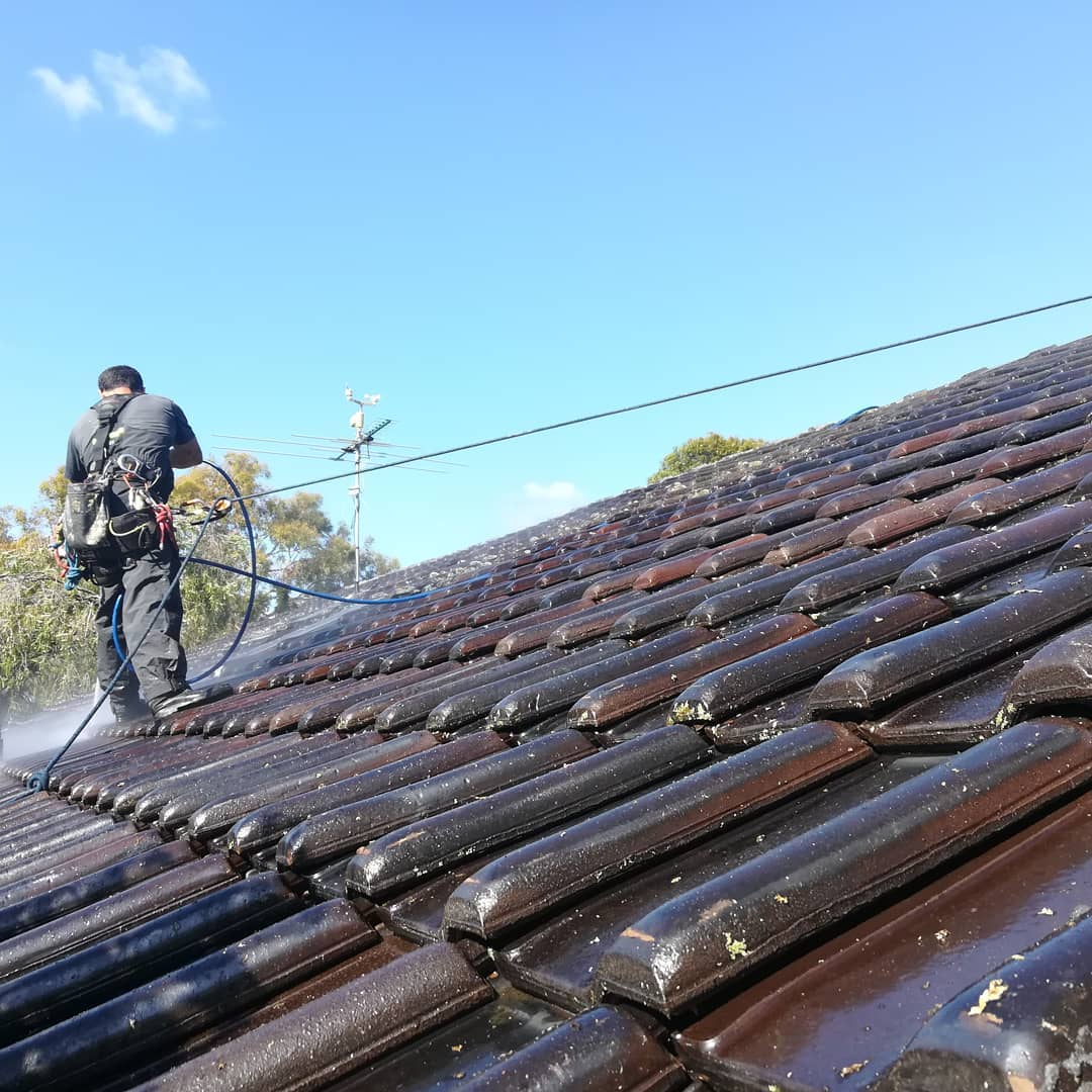 Roof Wash Services