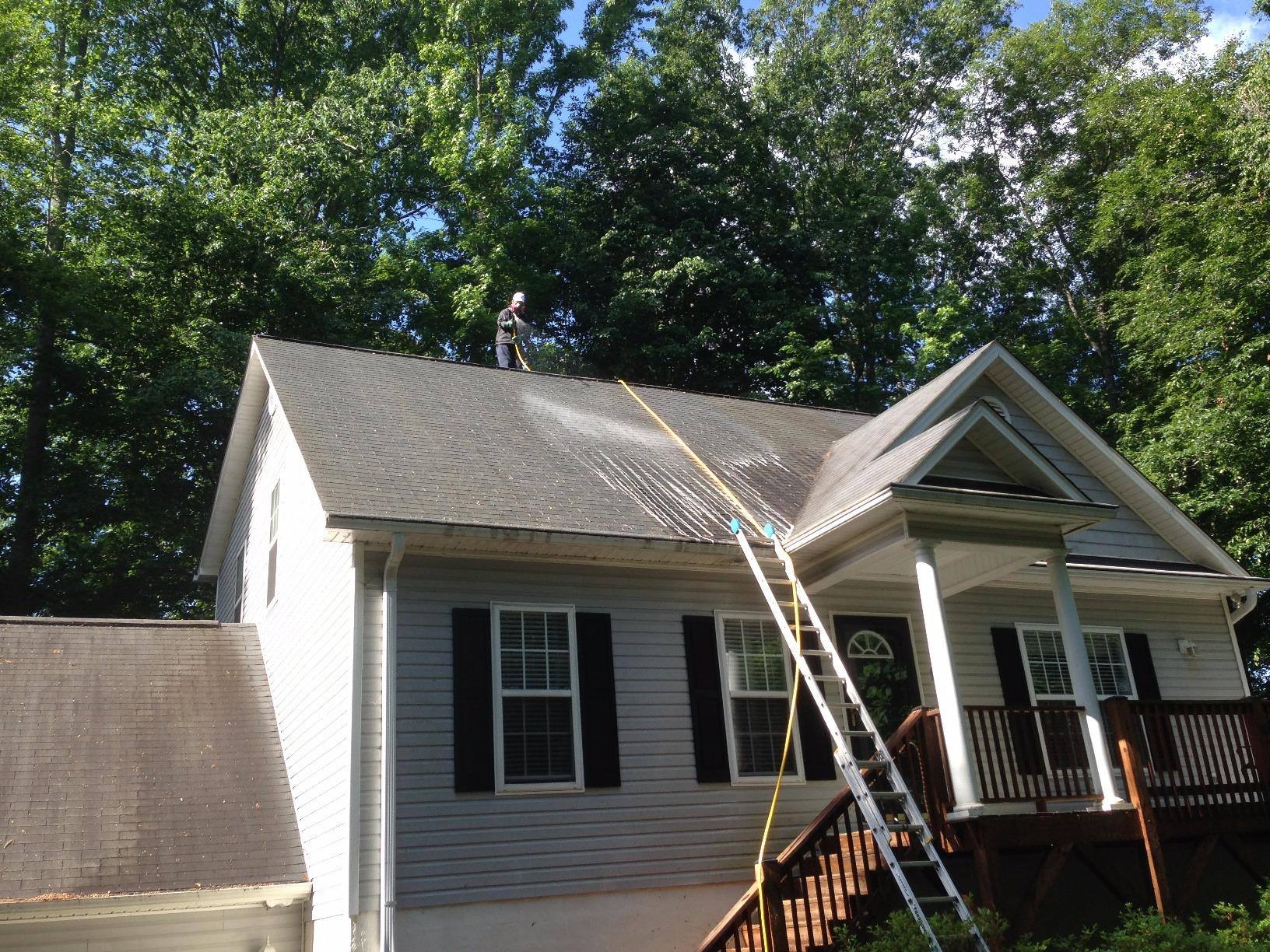 Roof Cleaning Services