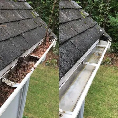 dirty-downspout-before-and-after copy